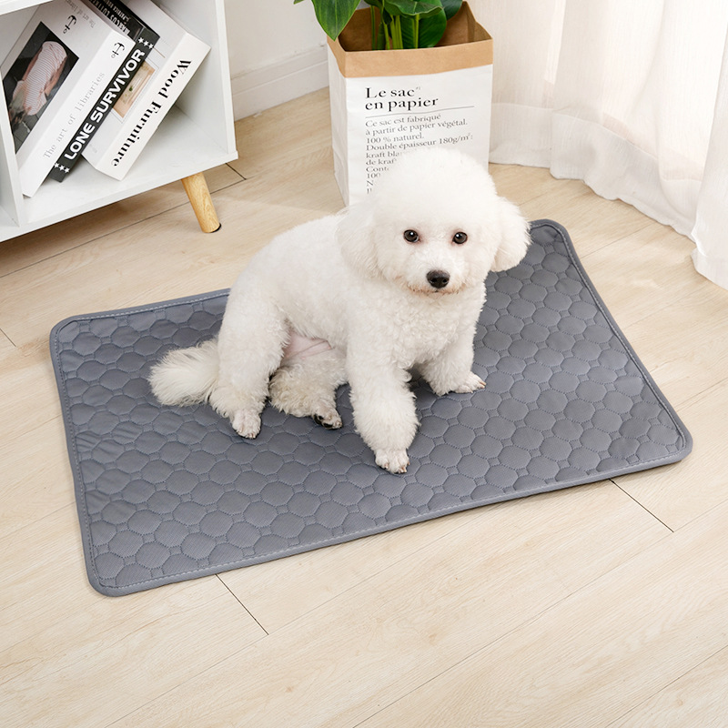 Reusable Dog Pee Pad Blanket A - Mattress Protector Waterproof 评论和价格